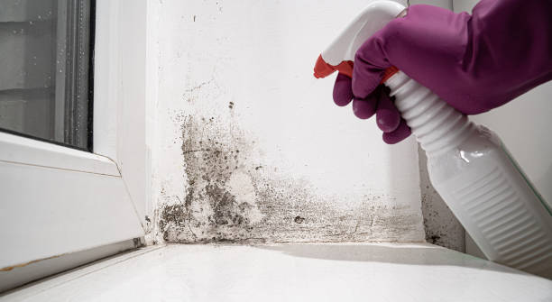 Best 24/7 water damage repair  in Bayou Gauche, LA